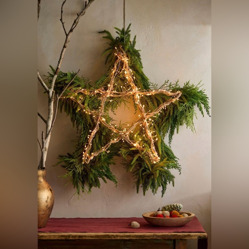 RARE TERRAIN NWT Stargazer Illuminated LED Vine Star